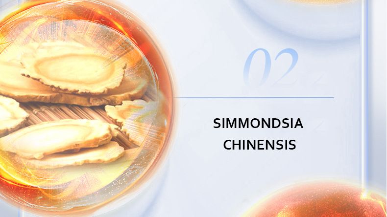 TITAN XXL OIL Penile Massage Essential 30ml Enlargement Oil_voghion.com