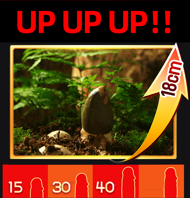 MASCHIO Crema da massaggio al rinoceronte più venduta da uomo Crema per l'ingrandimento del cazzo maschile Ingrandimento e ispessimento del cazzo_voghion.com