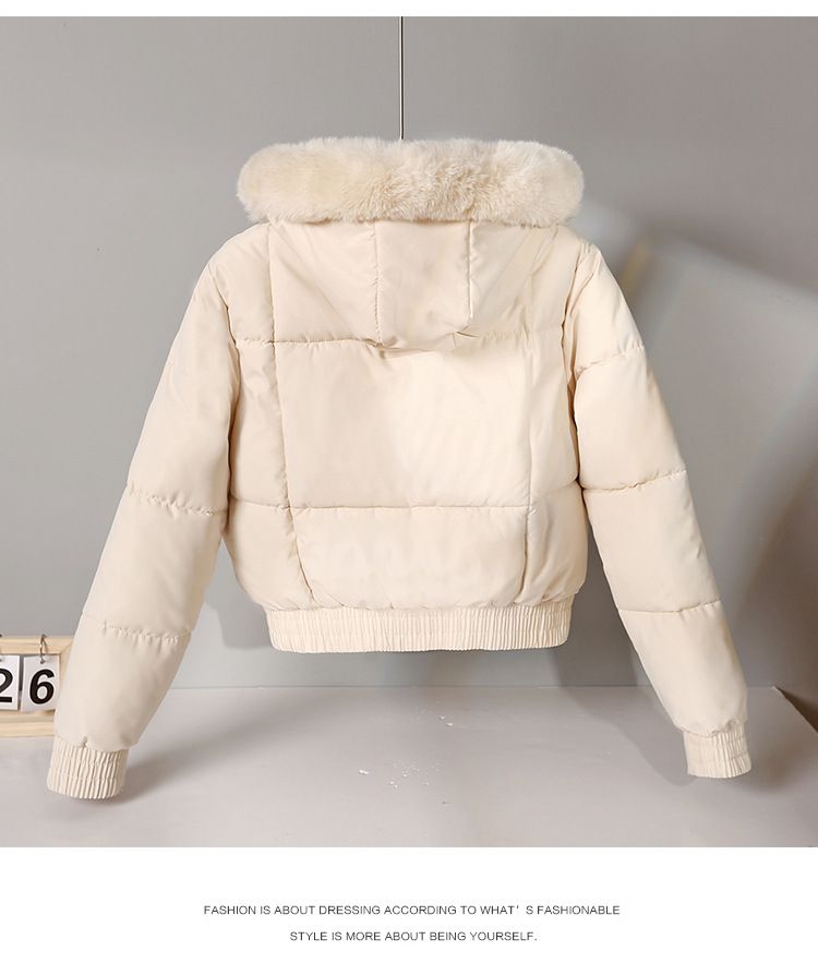 Women's Clothing short parka plus velvet thickened student cotton jacket large fur collar flat coat coat_voghion.com
