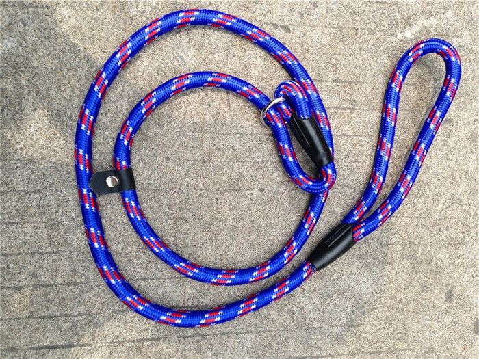 Dog Leash For Teddy Medium And Large Dogs Rope P Chain Competition Professional_voghion.com