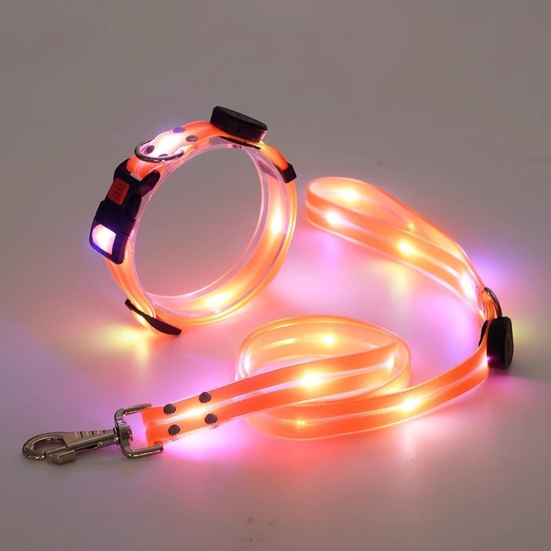 Coleira luminosa anti-perda para caminhada noturna com luz para cães_voghion.com