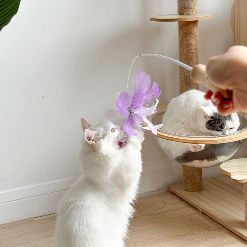 Flower blooming four seasons feather head cat teaser competition grade telescopic rod wooden handle bell feather replacement head cat toy_voghion.com