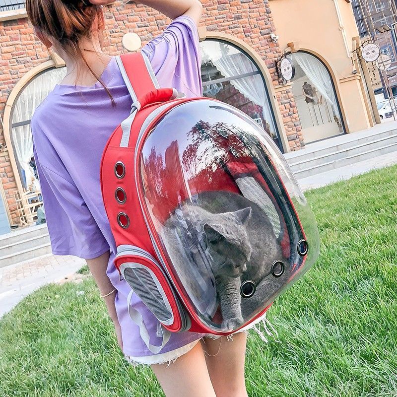 XZ Super 1,000 Repeat Customers Cat Bag Portable Space Pet Carrier Large Capacity Transparent Backpack_voghion.com