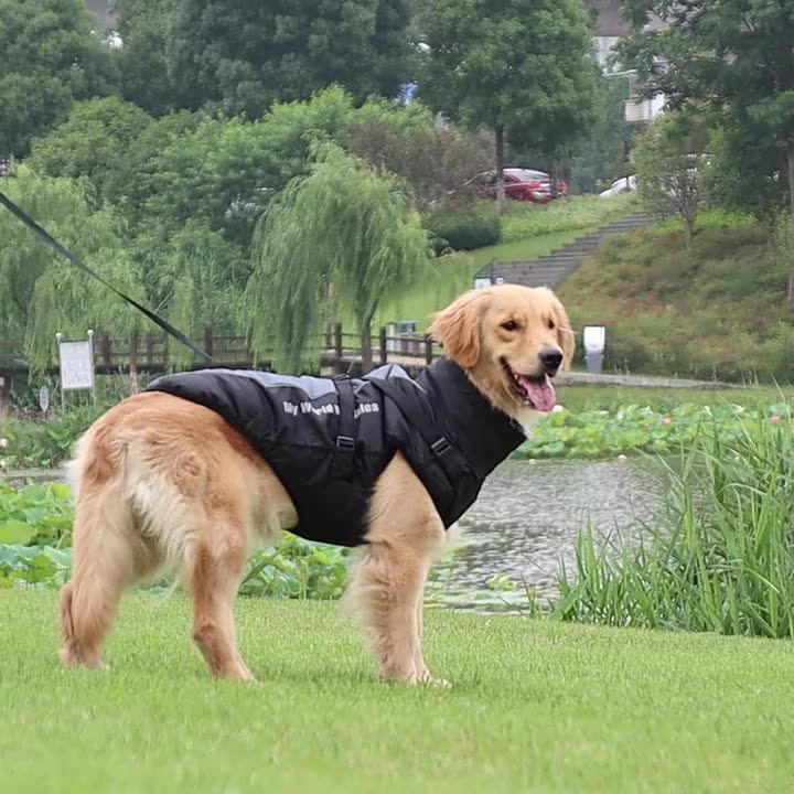 Jacket Fur Collar, Winter Clothin, Waterproof Coat Lare Dos With Detachable Harness, Outfit For Mop Do French By PawParty Store_voghion.com