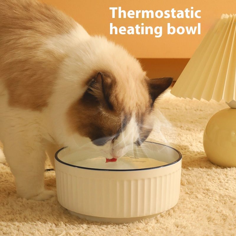 Kjæledyr konstant temperatur intelligent automatisk varmeisolering katt og hund anti tørr brennende vanndispenser keramikk_voghion.com
