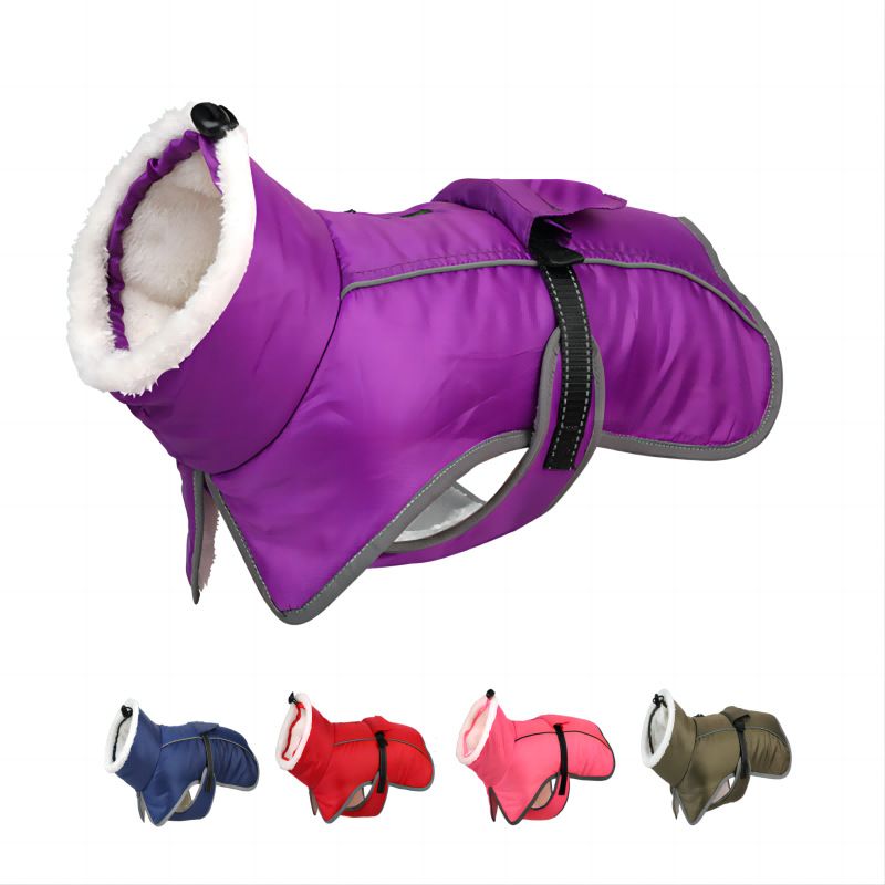 Ropa nueva de otoño e invierno, cálida, impermeable y resistente al frío, abrigo de algodón para mascotas, suministros para perros._voghion.com