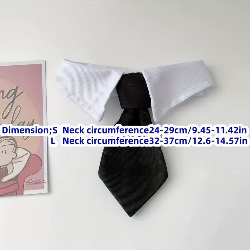Kokarda dla kota, dżentelmena, świąteczna obroża, pies, przystojny brytyjski krótkowłosy, krawat, ragdoll, zdjęcie_voghion.com