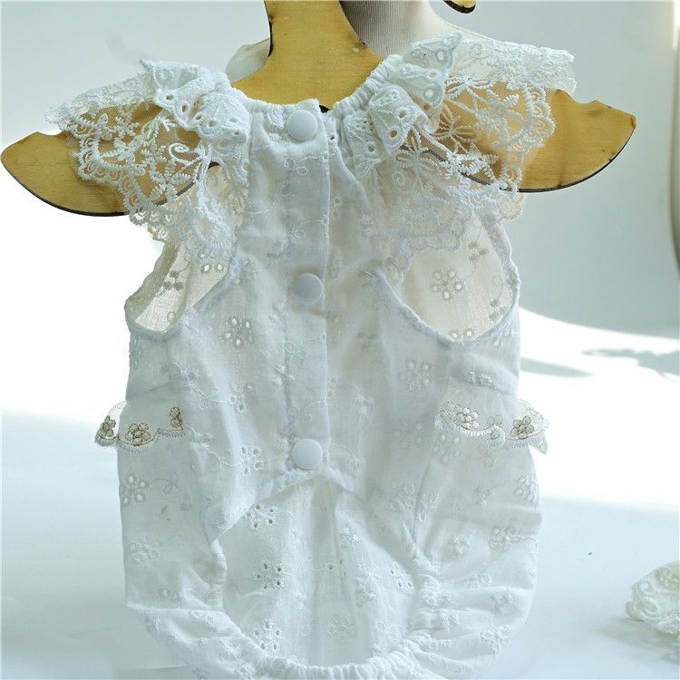 Koreaanse Ins-stijl huisdierkleding, hondenshirt met capuchon, teddybeer, bichon, yorkie, lente-zomer, holle kleding_voghion.com