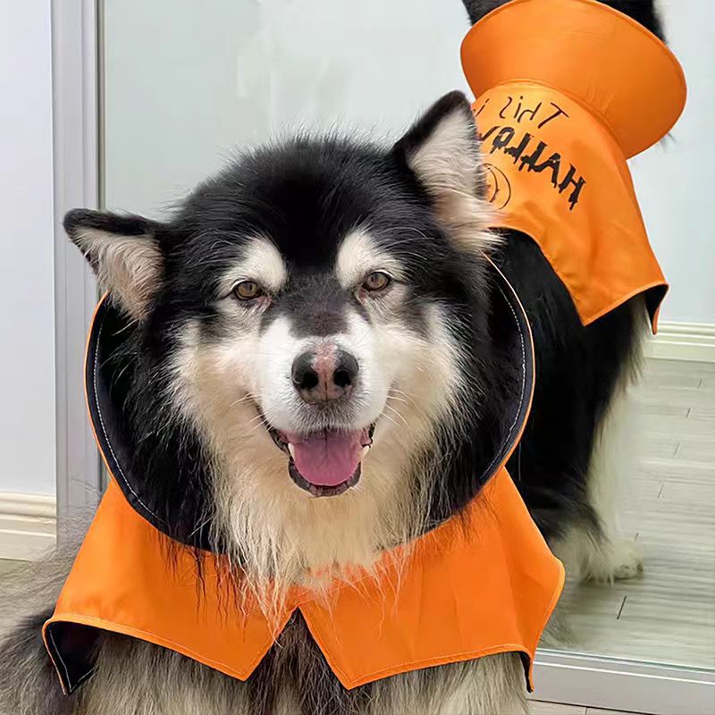 Halloween Haustier Hund Kleidung Cape für mittlere und große Hunde Vampir Fledermaus Kostüm Golden Retriever Samojede Alaskan Malamute_voghion.com