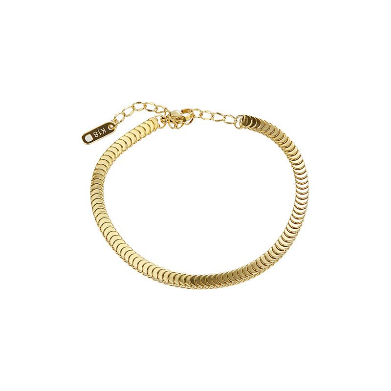 2023 Neues Fischschuppenarmband aus Titanstahl für weibliches Minderheitendesign, hochwertig, leicht und modisch,_voghion.com