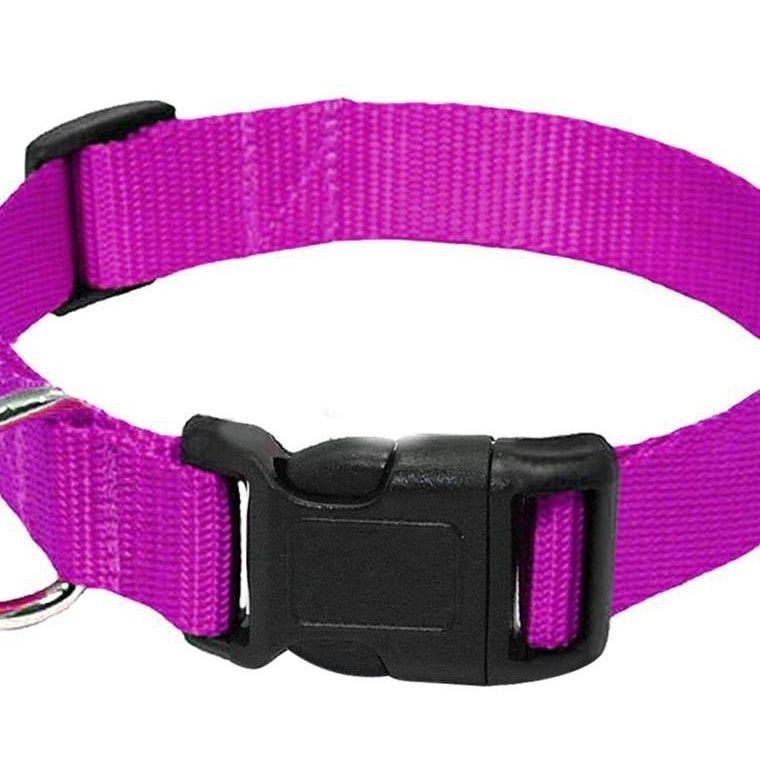 Durable Nylon Dog Collar Neck Strap Leash Pet Supplies_voghion.com