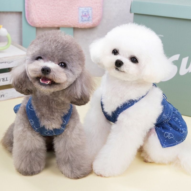 Haustier Katze Neue Denim Strap Outfit Kleine Hund Bichon Malteser Paar Frühling Sommer Kleidung_voghion.com