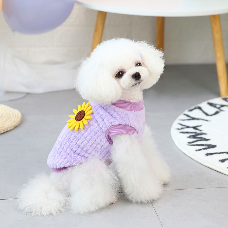Autunno e Teddy - Vestiti in velluto a girasole verticale per cani di piccola taglia, invernali, 21_voghion.com
