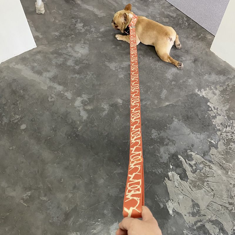 Hundeleine für kleine und mittelgroße Hunde Teddy Weste Kragen Harness Puppy Walking Kette_voghion.com