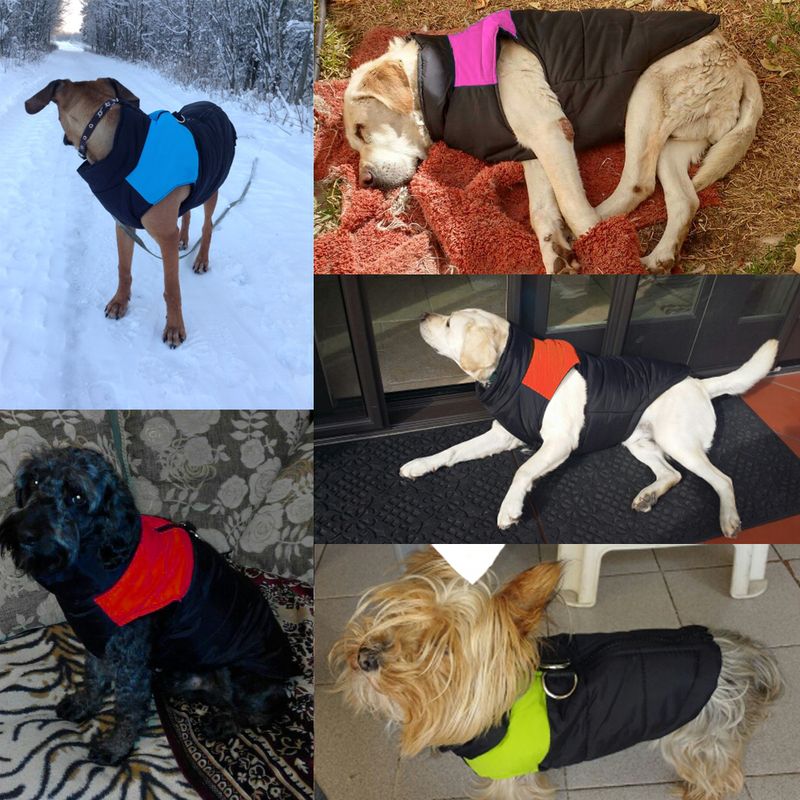 Beirui Winter Vest For Dogs, Blue/Pink/Red/Green, S-5XL By PawParty Store_voghion.com
