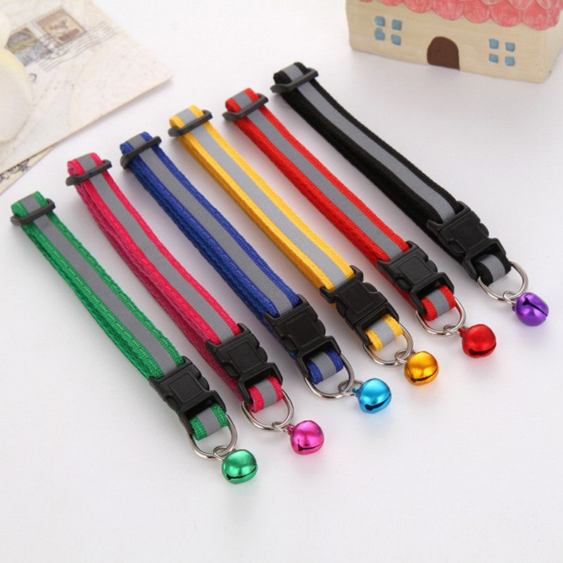 Fluorescent Nylon Dog Collar By PawParty Store_voghion.com