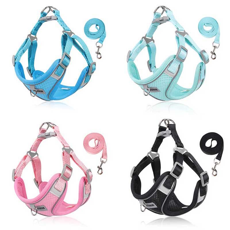 Dog Harness, Vest Small And Medium Dogs, Puppy Leash Set, Chest Strap For Chihuahua, Bulldog, Walking Leashes, Pet By PawParty Store_voghion.com