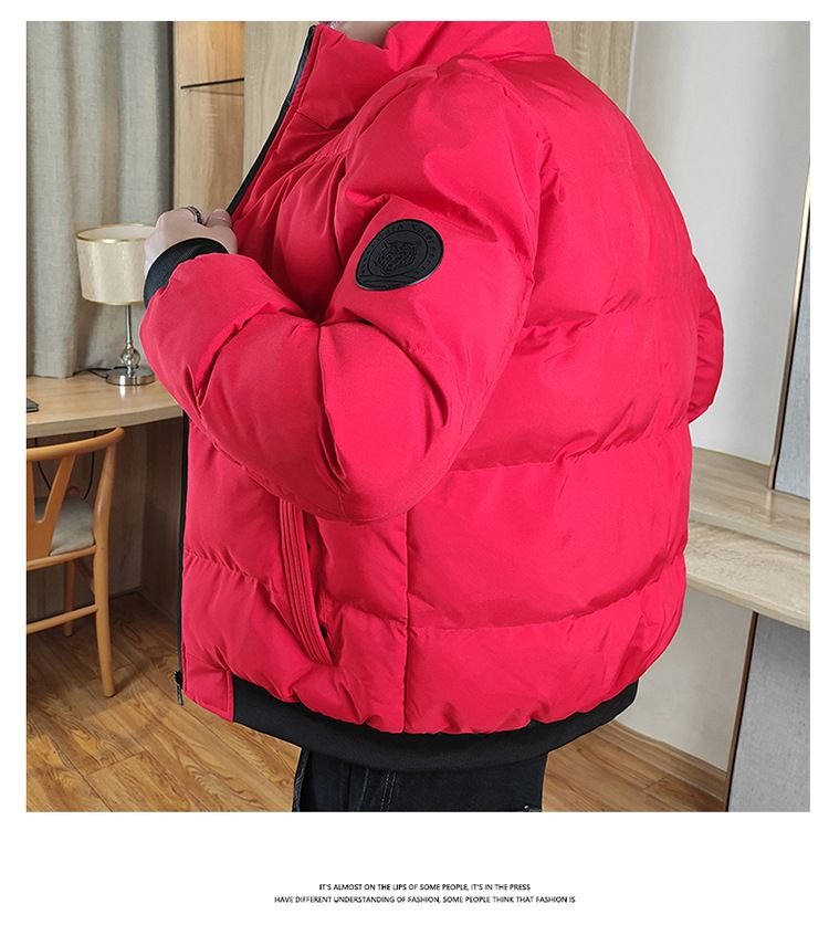 Men's Winter Down Jacket With Hood 550 Fill Power White Goose Down Slim Fit, Water-Resistant Machine Washable Lightweight Warm Coat_voghion.com