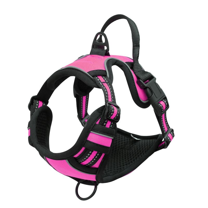 Pet Double Layer Explosion-Proof Dog Leash Buckle Collar Reflective Vest Harness_voghion.com
