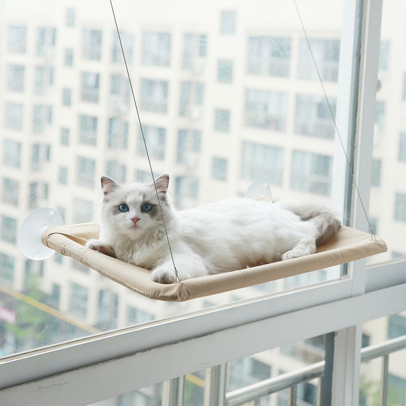 Duurzaam bed met raambevestiging, ligstoel, kattenmat, kittenbenodigdheden, klimrek, huisdieraccessoires van PawParty Store_voghion.com