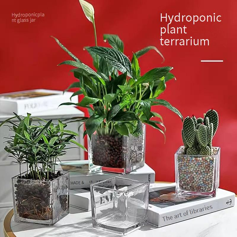 Home Decor Simple Hydroponic Vase Transparent Square Tank Water Growing Lily Tulip Daffodil White Palm Vessel Living Room Small Flower Pot_voghion.com