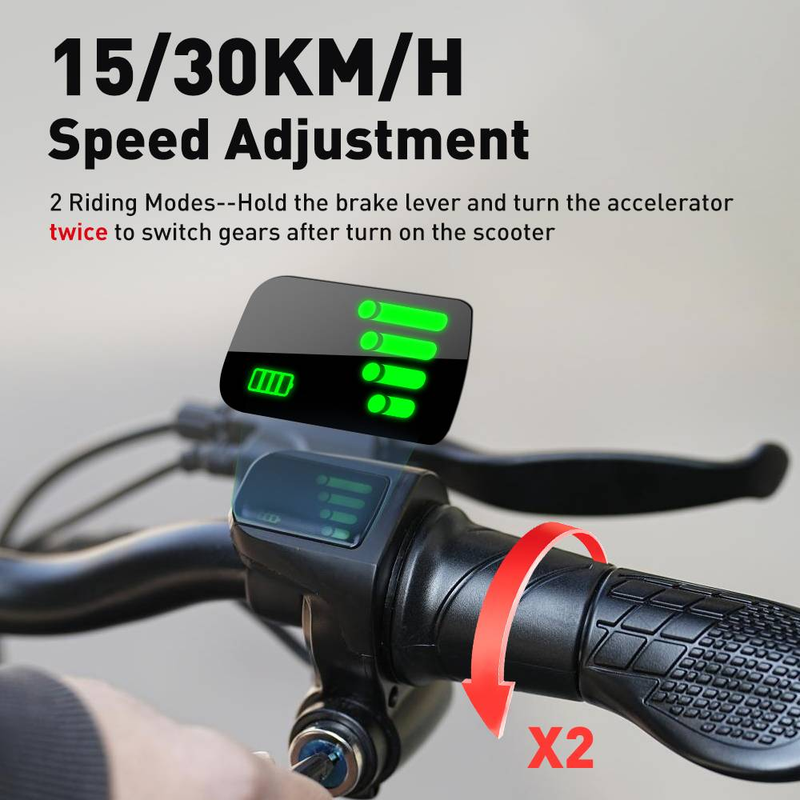 iScooter F2 500W Faltbarer Elektroroller mit Sitz für Erwachsene, 10-Zoll-Pendler-Escooter mit Korb und breiten Pedalen, 36V7.8Ah_voghion.com