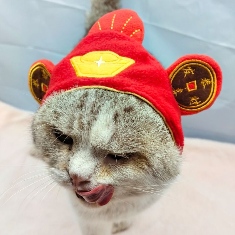 Hond Teddy Chinese Stijl God van de Rijkdom Gelukskat Kostuum Hoofddeksel Halloween Huisdier Hoed Outfit_voghion.com