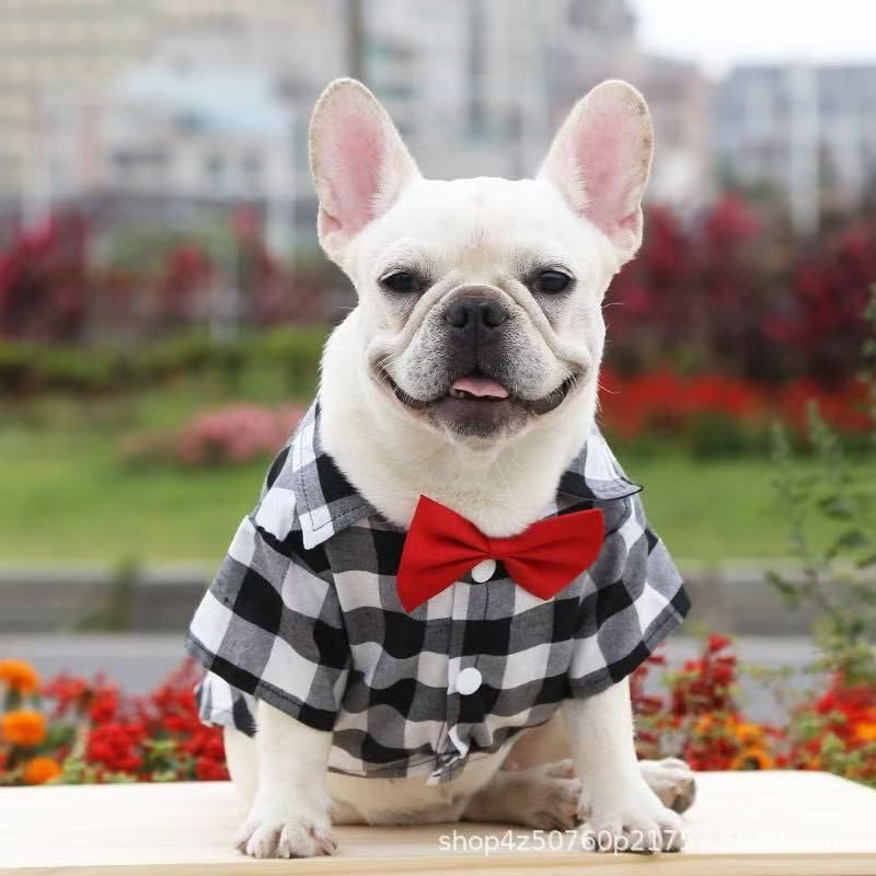 Chemise à carreaux pour chien, costume, robe de mariée, petit, moyen, grand chien, été, Teddy Bichon, vêtements pour animaux de compagnie et chats_voghion.com