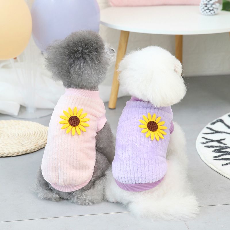 Pet dog autumn and winter new pet clothing, two legged jacket, 21 vertical Korean version flannel jacket_voghion.com