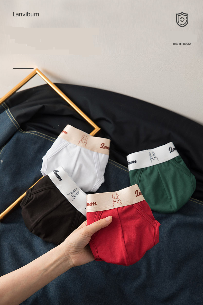 Roupa íntima e pijamas Boxer de algodão com cintura média e antibacteriano_voghion.com