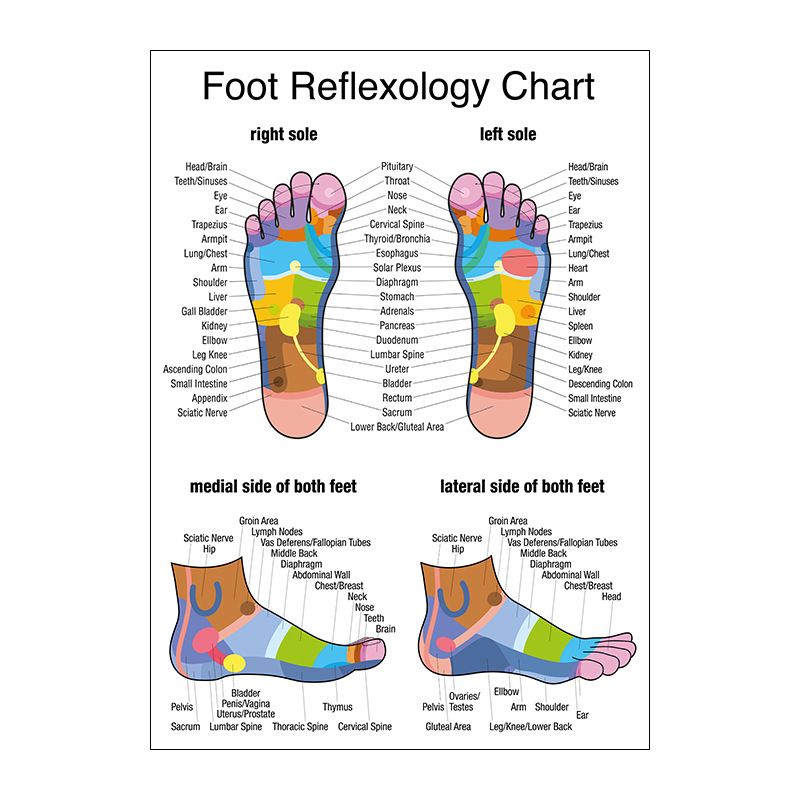 English Anatomy Human Organs Canvas Print Classroom Hospital Core Poster_voghion.com