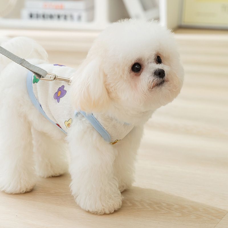 Vestiti per cani da compagnia, carini, con stampa completa, in rete, con trazione, primavera estate, traspiranti e comodi, per Bichon, Teddy, Pomerania_voghion.com