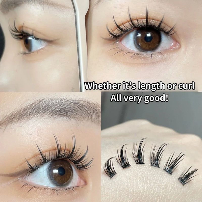 Große Kapazität, 10 Reihen, Spire Wheat Spike, falsche Wimpern, dichter Fischschwanz, Selbstverlängerung, Make-up-Tool, 10-teiliges Set_voghion.com
