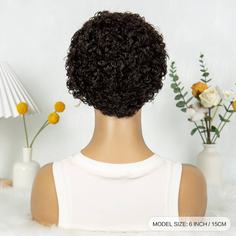 MALAIKA Short Curly Lace Wig Pixie Wigs For Women Gift Human Hair 150% Density Cut Lace Front Wigs Human Hair 13x1 Lace Short Curly Lace Front Wigs_voghion.com