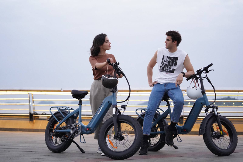 DYU FF500 Foldbar Elcykel 500W motor 48 v14ah lithium batteri City Riding dame elcykel 20*4.0 Fat Tire cykel_voghion.com
