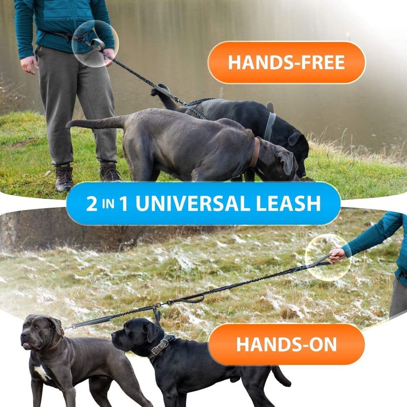 New Pet Products Fitness Sports Running Rope Multi Functional Belt Dog Traction_voghion.com
