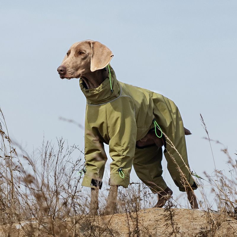 Large Four-Legged Windproof High Collar Outdoor Warm Full Coverage Dog Jacket Pet Apparel_voghion.com