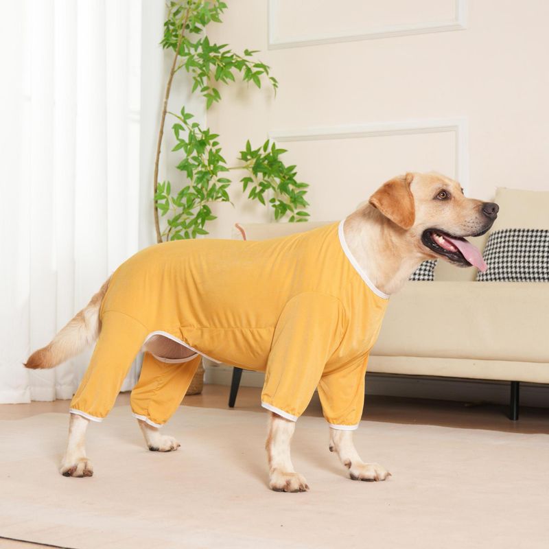 Abbigliamento per cani di grossa taglia, estivo e primaverile, fresco, a quattro zampe, per tutte le stagioni, universale, per Border Collie_voghion.com