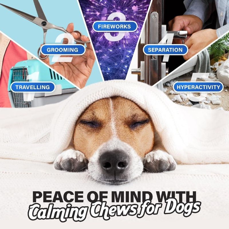 Anxiety Relief For Promote Dog Citr Dog Dogs Chamomile For Calming Melatonin Relaxation Chews Calming Chews Dogs With Magnesium_voghion.com