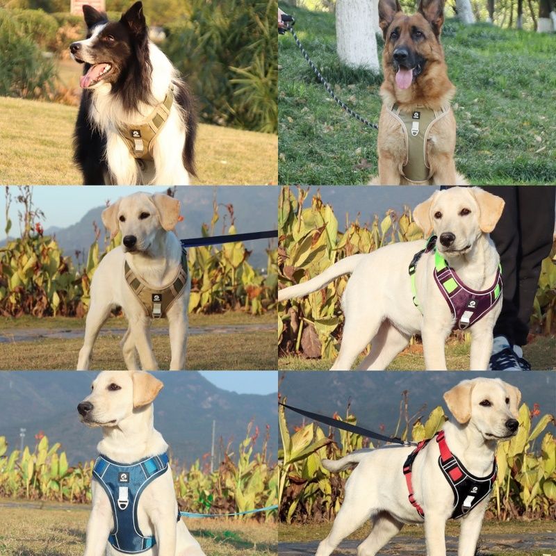 1680D Reflektierendes Geschirr, wasserdichtes Oxford-Geschirr für große Hunde, Tierhandlung, taktische Weste, Leinen, mittelgroßer Hund von PawParty Store_voghion.com