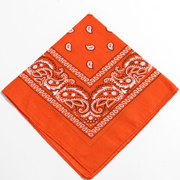 Sciarpa quadrata in cotone stampato con fiore di ameba e anacardi, bandana da street dance per uomo e donna, opera d'arte decorativa_voghion.com