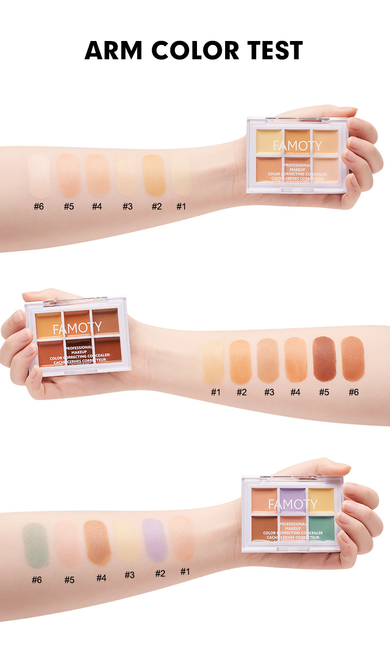 Concealer 6 färger Palett Långvarigt skydd Mörka cirklar Acne Porer Cream Shading Highlighter Återfukta_voghion.com