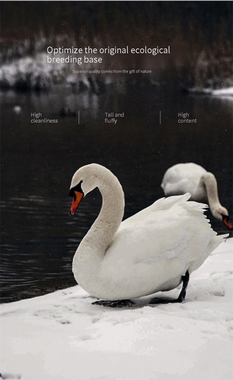 Cotton Down Pillow Twisted Flower Pillow Core Hotel Three Dimensional Home Pillow Homestay Five Star White Goose Down_voghion.com