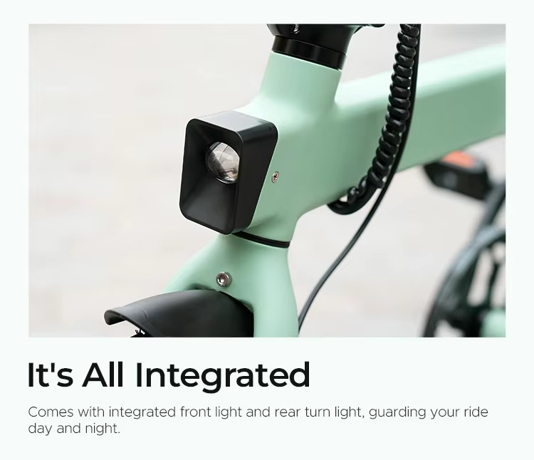 ENGWE P20 Gradient 2024 Limited Model The Best Ultra-light Folding E-Bike 20INCH 17 KG Torque Sensor 36V 9.6Ah_voghion.com