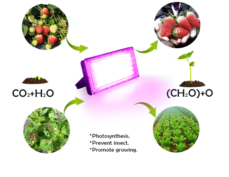 Full Spectrum LED Grow Light PhytoLamp For Plants Tent Flower Seeding 50W AC 220V Range Lamp Outdoor Floodlight Grow Phyto Box_voghion.com