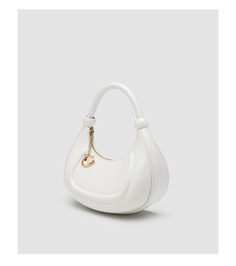 CHARHP&KEJNT Hailey Diary Crescent Women's Small Handbag Single Shoulder Crossbody Bag_voghion.com