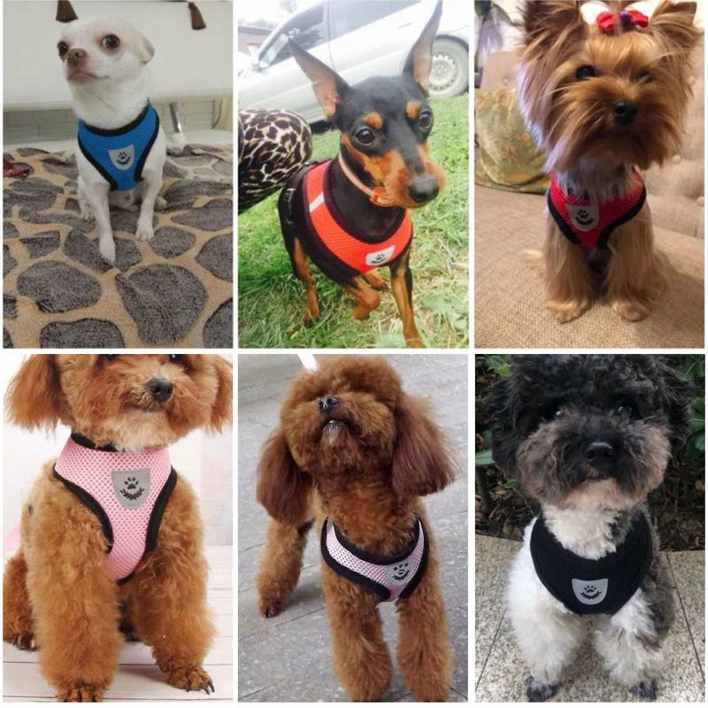 Coleira para cães pequenos, peitoral respirável para animais de estimação no verão, peitoral estilo colete para cães_voghion.com