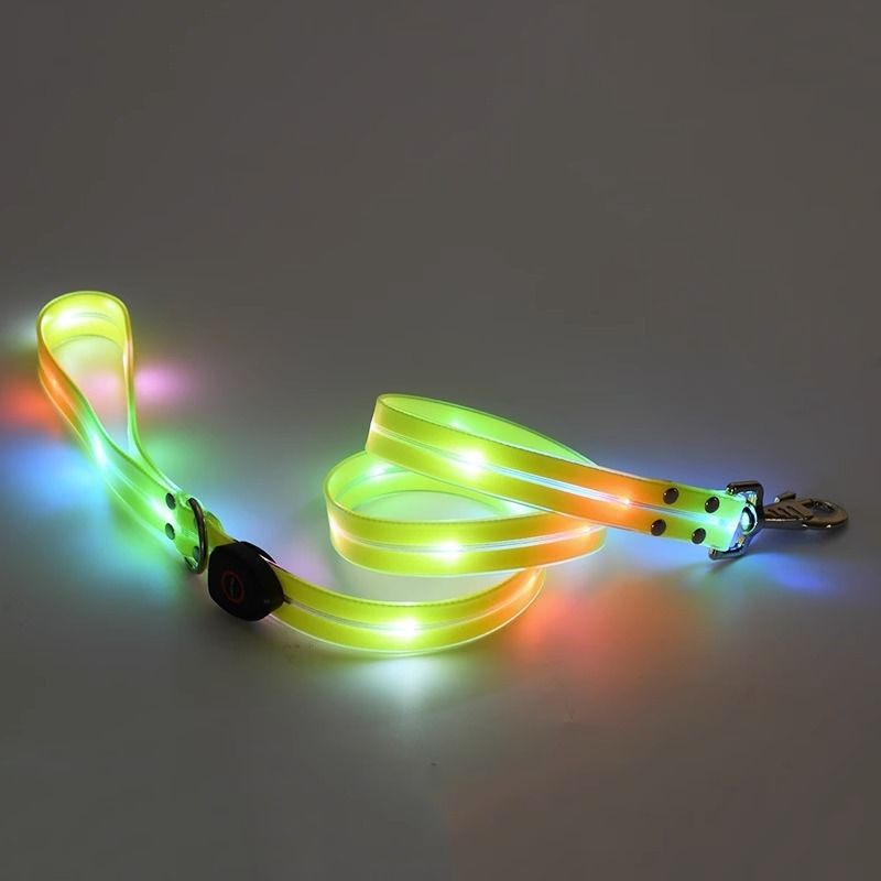 Coleira luminosa anti-perda para caminhada noturna com luz para cães_voghion.com