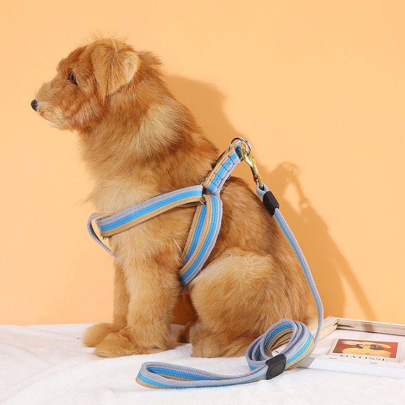 Leinenleine für Haustiere, Hunde, Katzen und Hunde – Trainingsleine, Zuggurt für große, mittlere und kleine Hunde_voghion.com