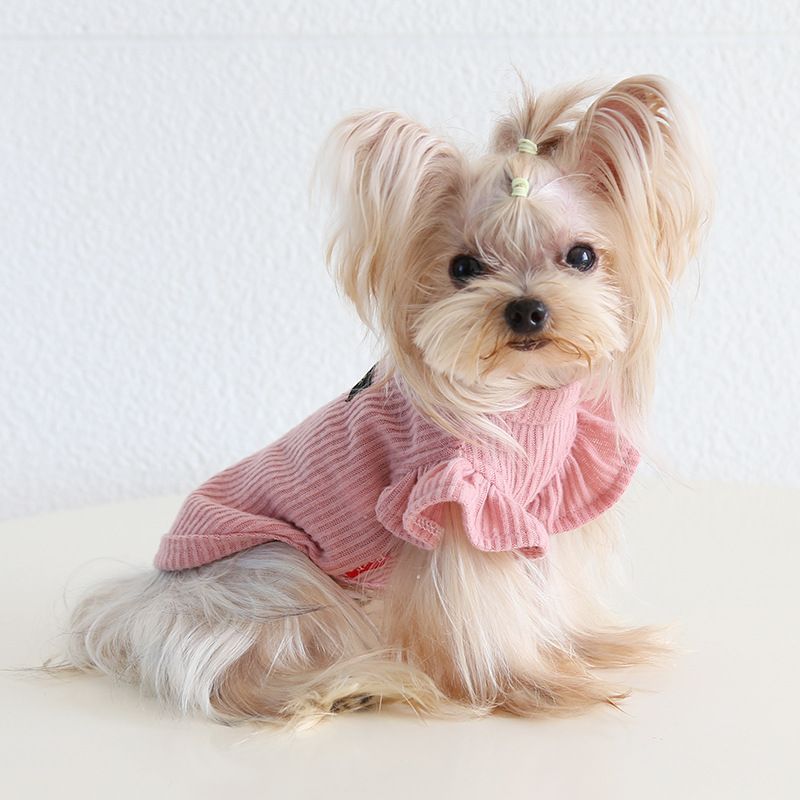 Petstyle 2024 Otoño Invierno Nuevo Estilo Camisa de Mangas Abullonadas con Cuello Alto Acanalado Ropa para Gatos Ropa para Mascotas_voghion.com